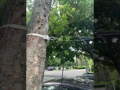 FTTH অপটিক্যাল ফাইবার সাসপেনশন ডেড এন্ড কেবল অ্যাঙ্কর ক্ল্যাম্প ADSS কেবল 8-12mm এর জন্য